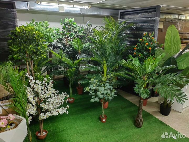 Деревья, растения разные в наличии, от