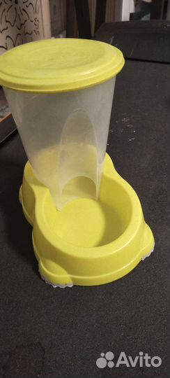 Кошачьи принадлежности