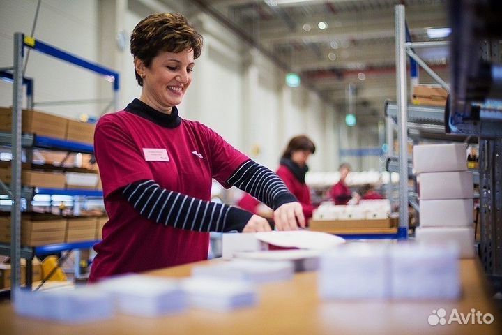 Еженедельные выплаты. Стикеровщик в ночь