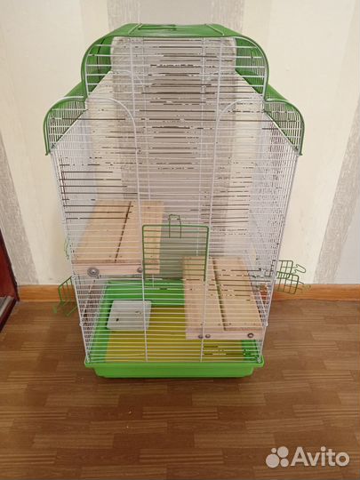 Грызуны, птицы