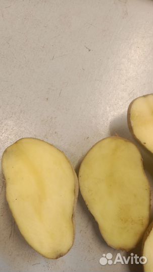 Овощи и фрукты оптом и в розницу