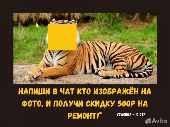 Ремонт стиральных машин и холодильников