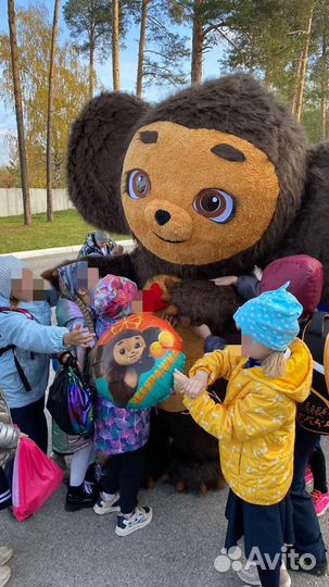 Поздравление от Чебурашки, тамада