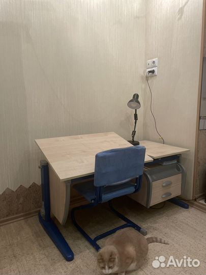 Растущая парта и стул деми