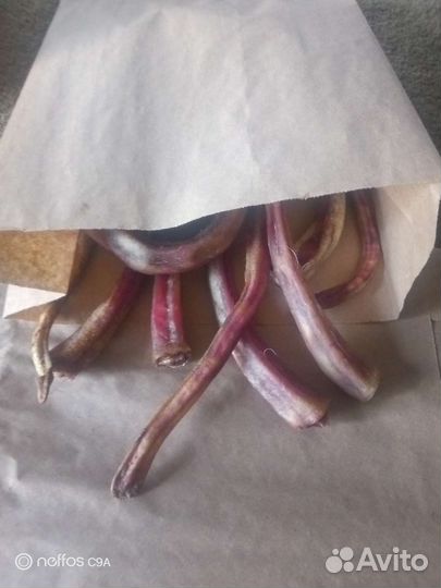 Лакомство для собак