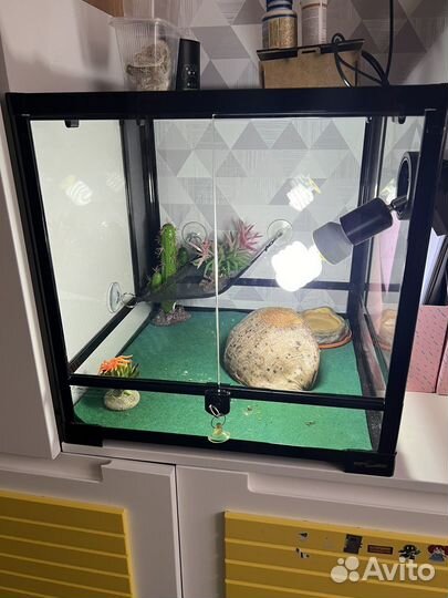Террариум для рептилий