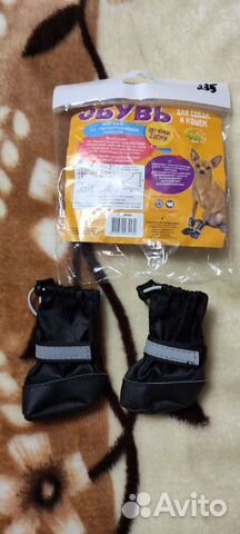 Обувь для маленьких собак