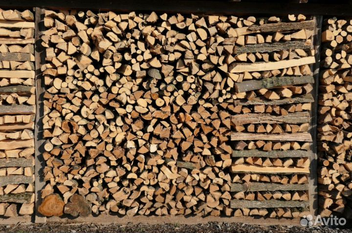 Дрова дубовые