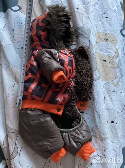 Одежда для собак