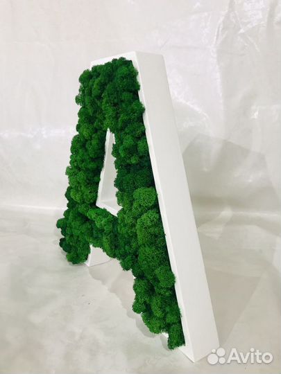 Буквы из стабилизированного мха