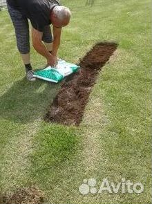 Газон от производителя