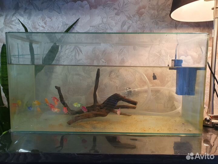 Аквариум 50л. Грот, грунт