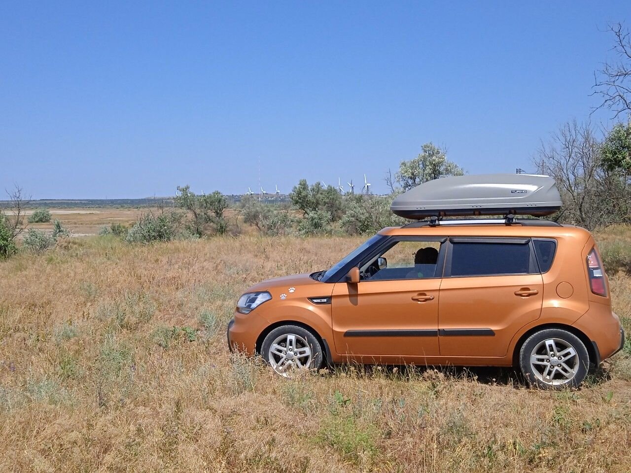Kia Soul: фото владельца