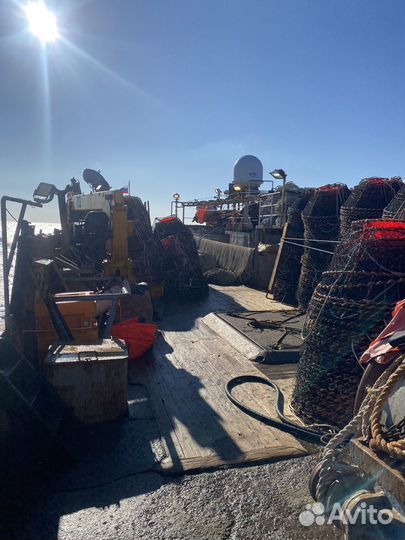 Помощь в оформлении документов