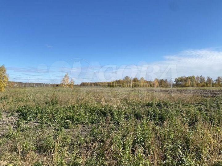 Участок 15,1 сот. (СНТ, ДНП)