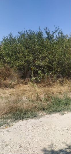 Участок 5 сот. (СНТ, ДНП)