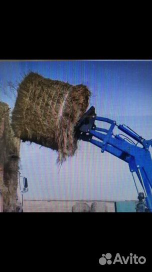 Трактор МТЗ (Беларус) 82.1 с КУН, 2018