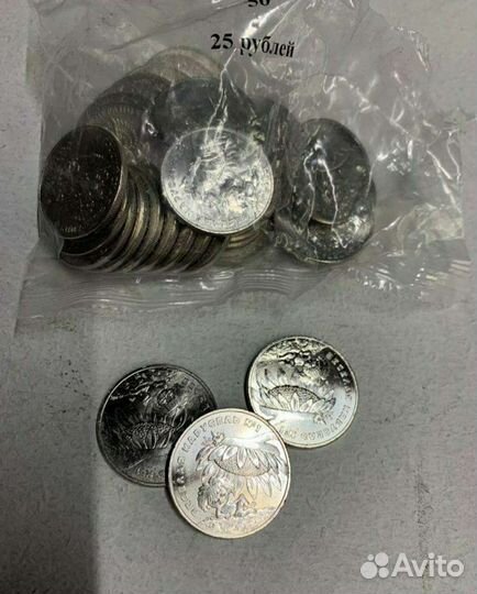 Монеты 25 рублей Антошка