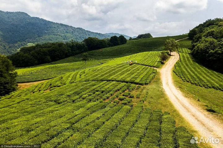 Эко-тур в Долину Мацеста