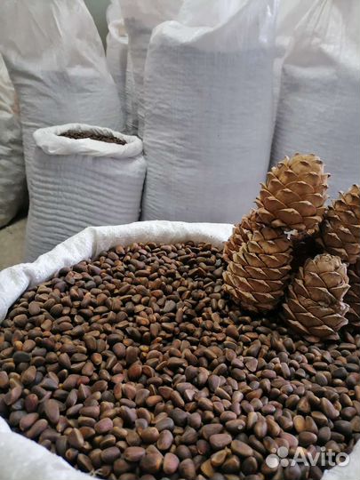 Кедровый орех доставка бесплатно от 20л. Возм.Опт
