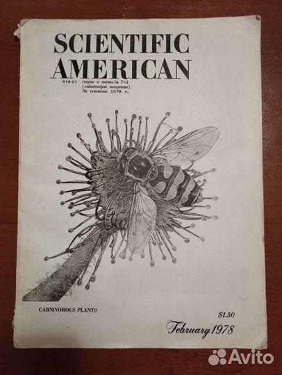 Продам американскую книгу Scientific American 1978
