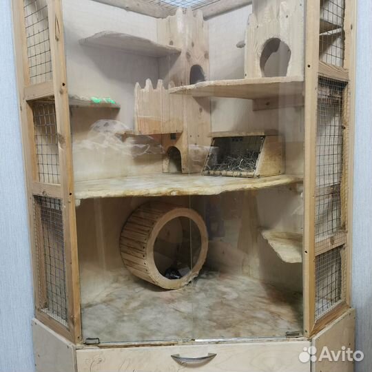 Витрина для шиншилл бу