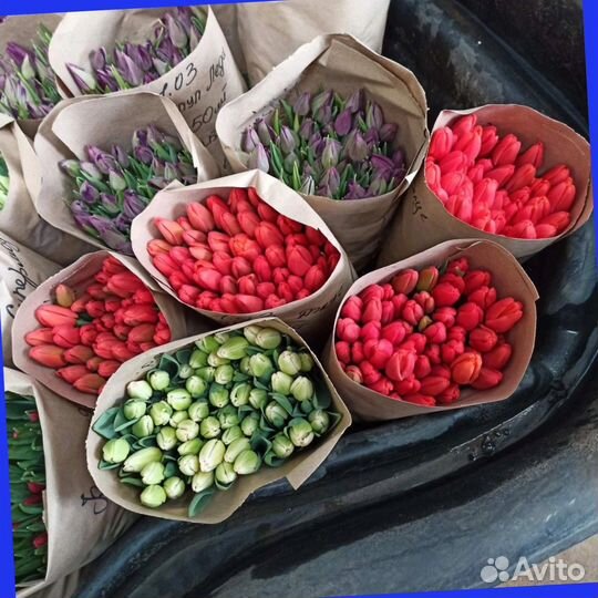 Тюльпаны к 8 марта оптом