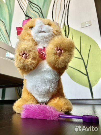 Игрушка furreal friends от Hasbro котёнок Дэйзи