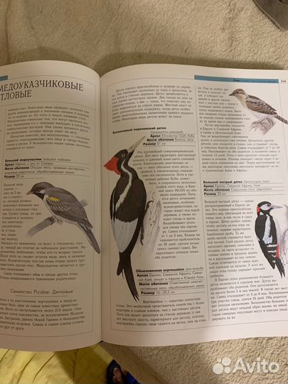 Энциклопедия животных