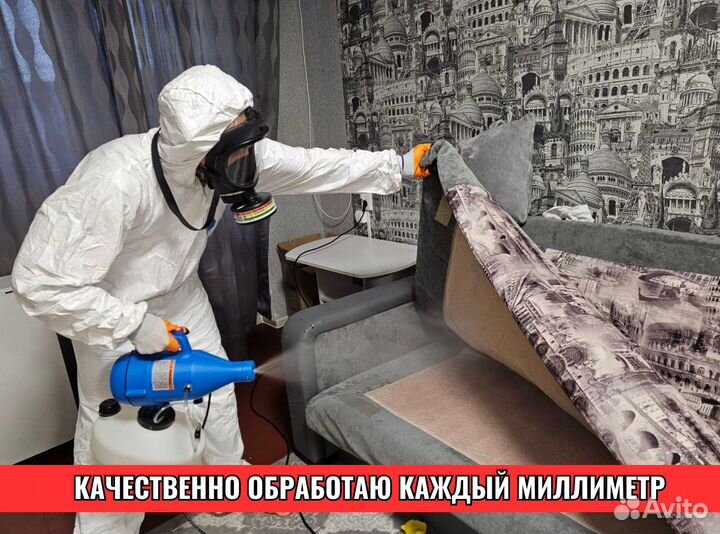 Уничтожение тараканов / Дезинфекция