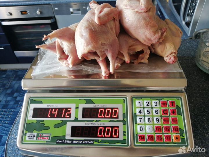 Инкубационное яйцо перепелиное