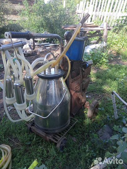 Доильный аппарат бу