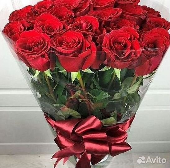 Розы гиганты 140 150 160 170 180 200