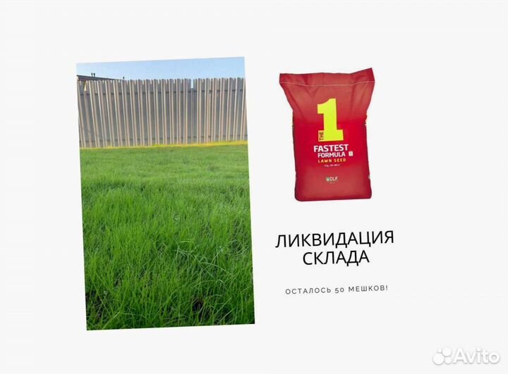 Посевной газон