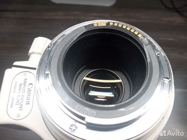 Объектив Canon EF 100-400mm f/4.5-5.6 L IS USM