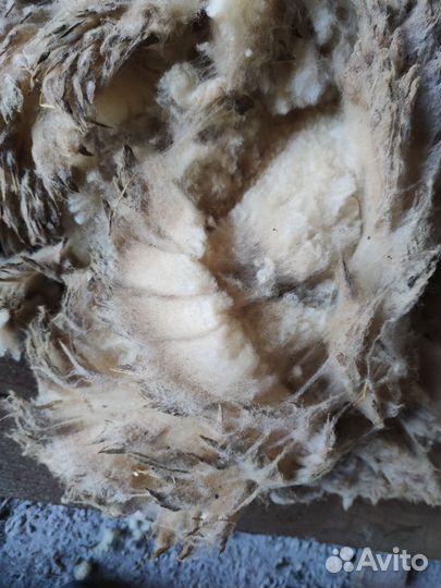 Шерсть для Ольги