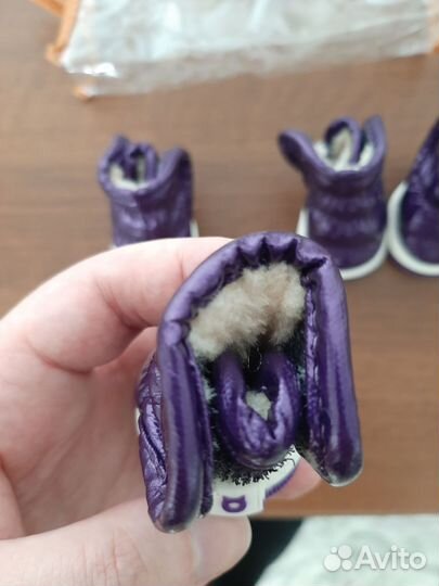 Ботиночки для собачки