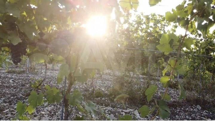 Участок 10 га (СНТ, ДНП)