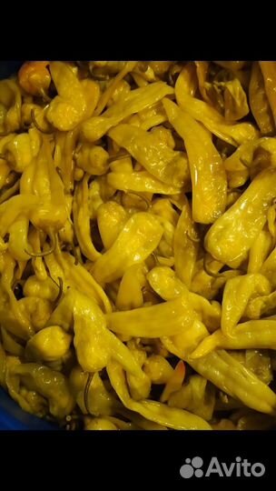 Перец острый соленый