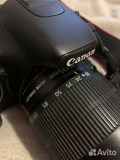 Зеркальный фотоаппарат canon 600d и nikon d5200