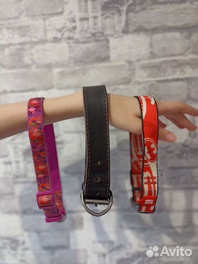 Ошейники для собак