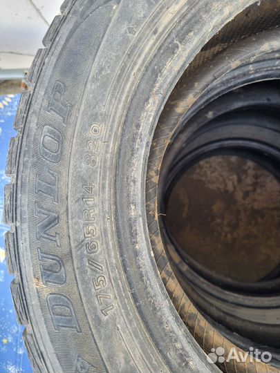 Dunlop Winter Maxx WM01 175/65 R14