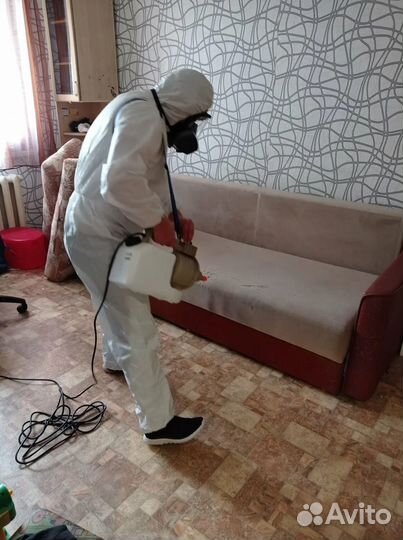 Уничтожение Клопов Тараканов Крыс дезинфекция Гара
