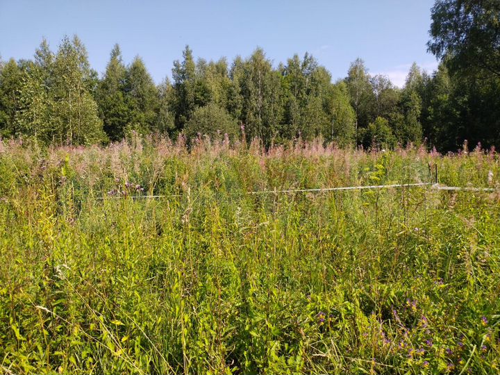 Участок 26 сот. (ИЖС)