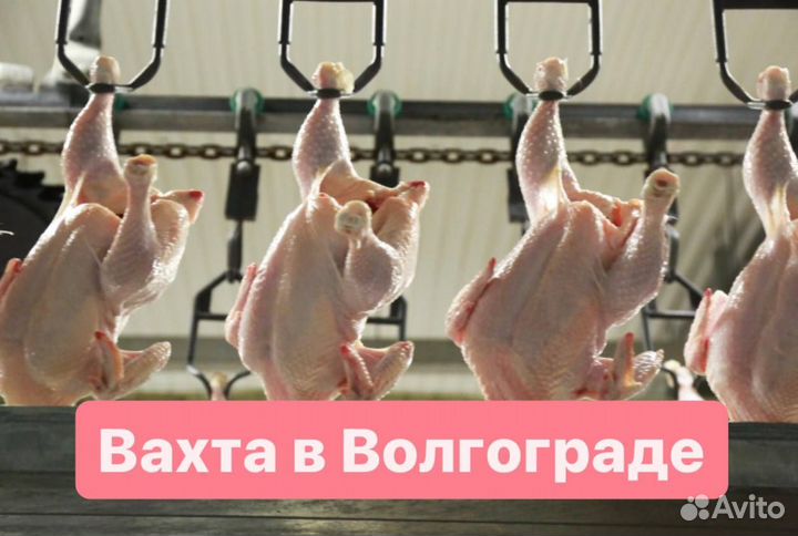 Летняя подработка в Волгограде