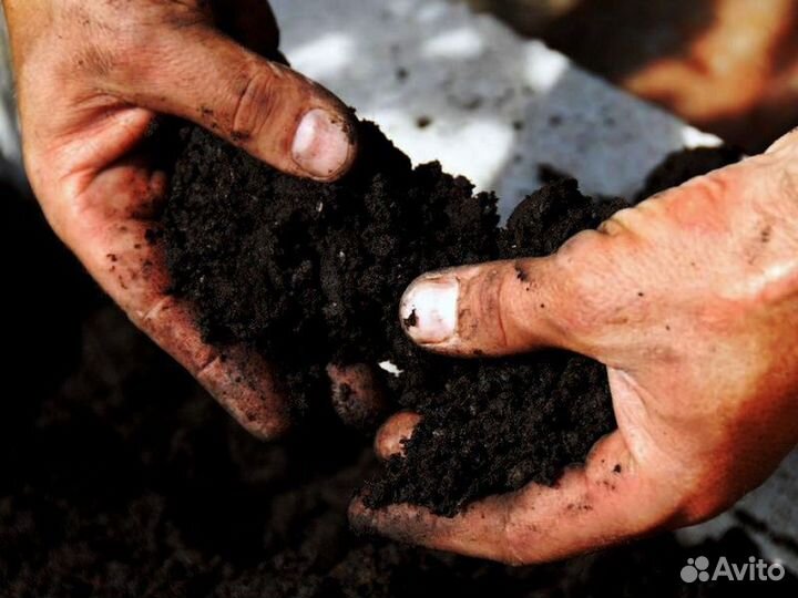 Грунт растительный