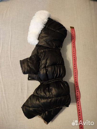 Костюм для собаки маленький