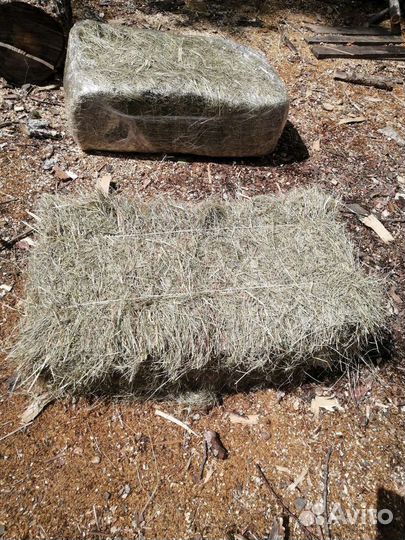 Сено в тюках