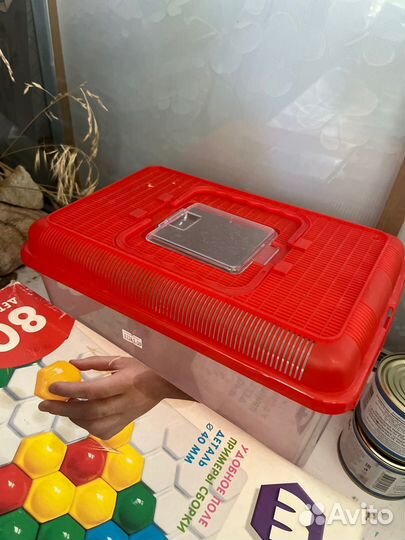 Террариум для черепахи