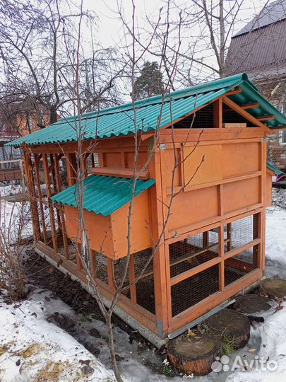 Курятник большой